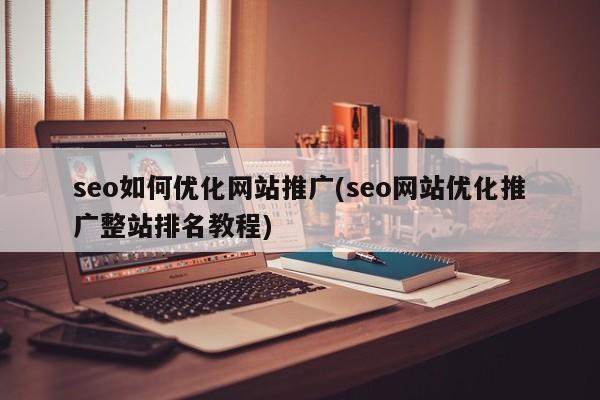 seo如何优化网站推广(seo网站优化推广整站排名教程)