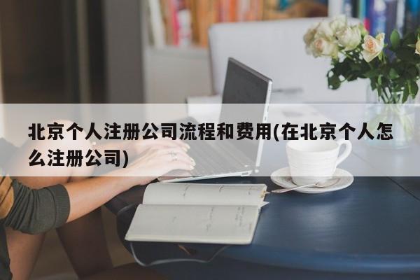 北京个人注册公司流程和费用(在北京个人怎么注册公司)